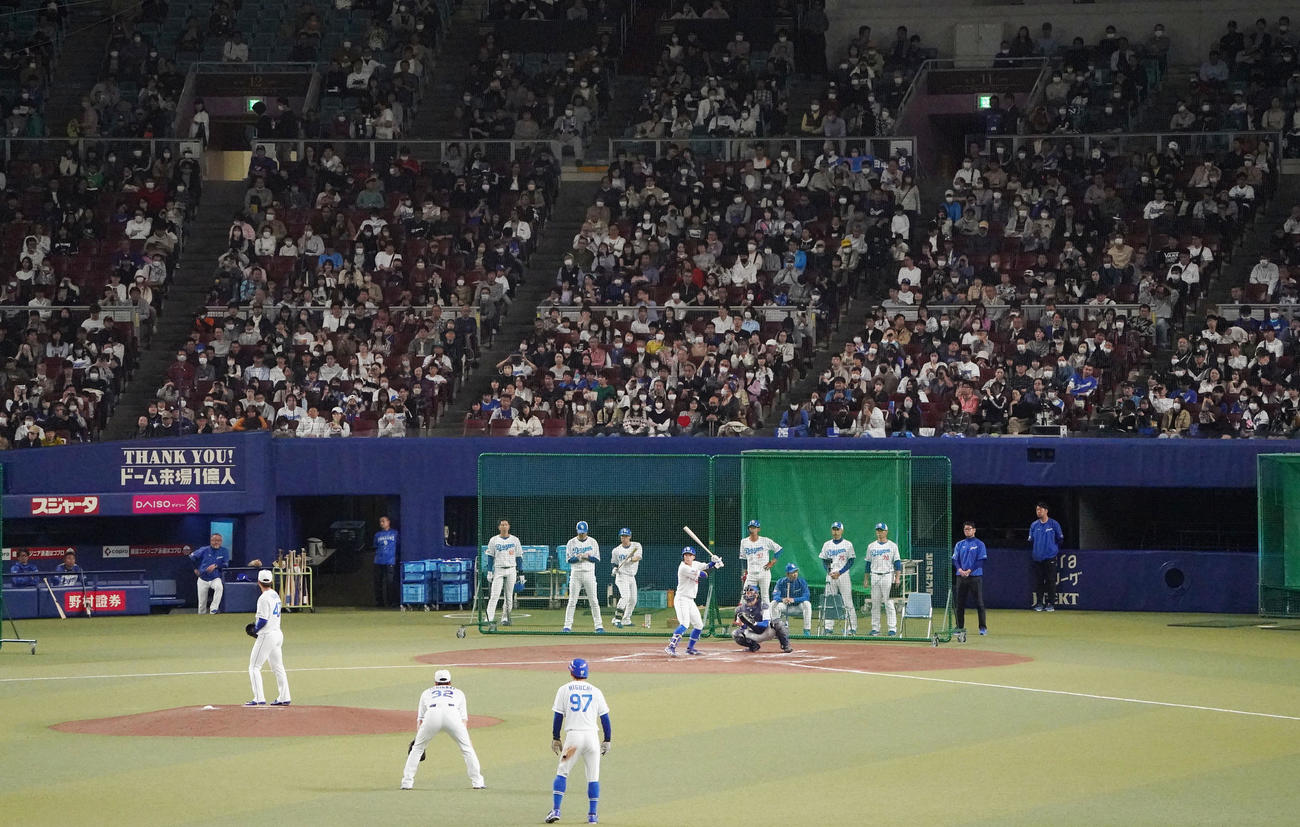 今日の練習は無料公開されスタンドで練習を見つめるファン（撮影・森本幸一）