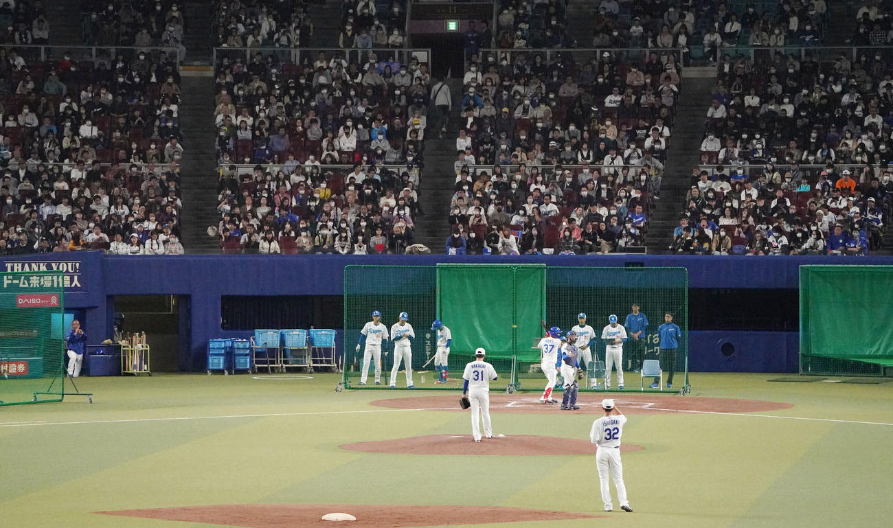 今日の練習は無料公開されスタンドで練習を見つめるファン（撮影・森本幸一）