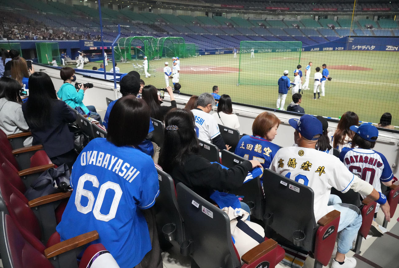 今日の練習は無料公開されスタンドで練習を見つめるファン（撮影・森本幸一）