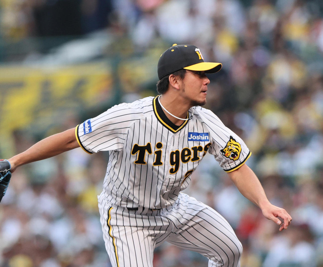 阪神伊藤将司（2023年9月撮影）