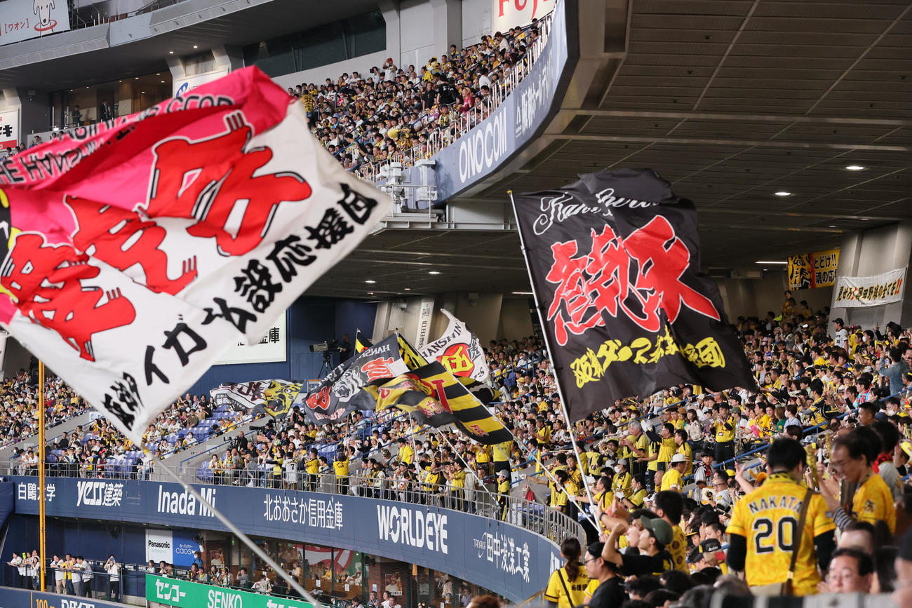 オリックス対阪神　盛り上がる阪神ファン（撮影・加藤哉）