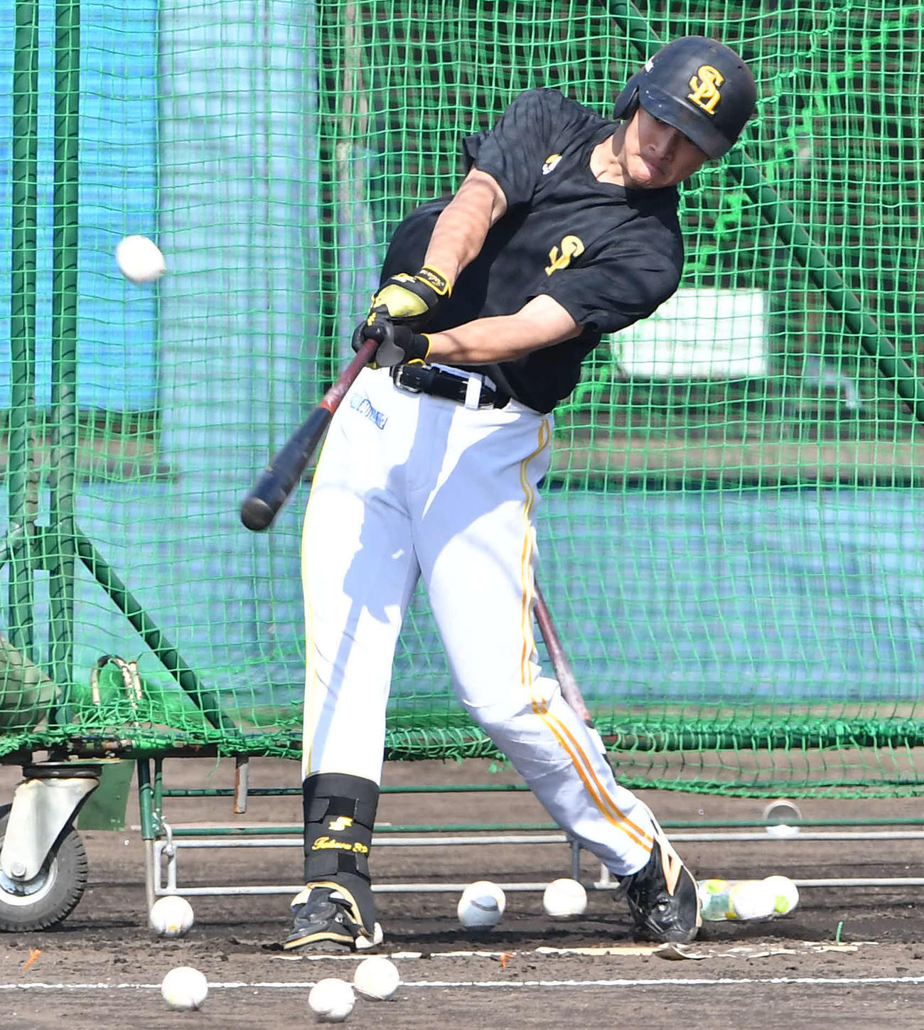 フリー打撃を行う柳町（撮影・岩下翔太）