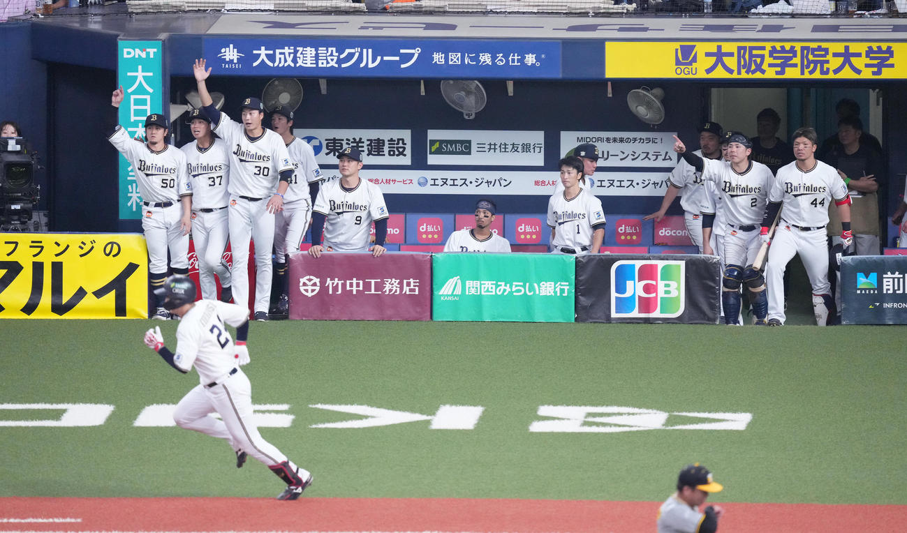 オリックス対阪神　5回裏オリックス1死二塁、紅林の2点本塁打にベンチで喜ぶオリックスナイン（撮影・菅敏）