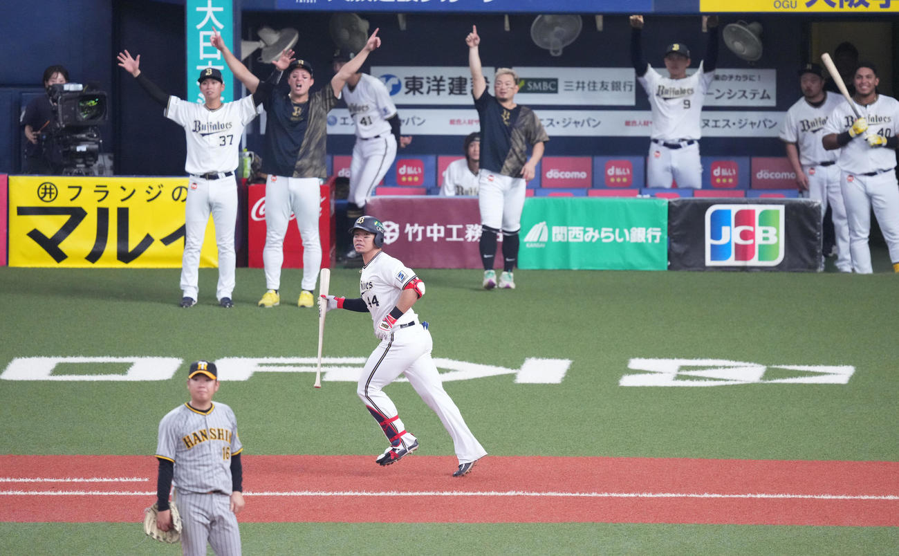 オリックス対阪神　8回裏オリックス無死、左越えにソロ本塁打を放つ頓宮（撮影・菅敏）