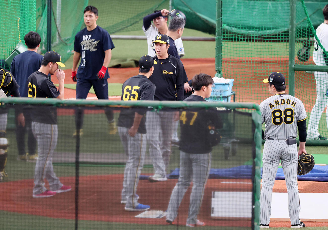 オリックス対阪神　マウンドを確認する青柳（撮影・加藤哉）