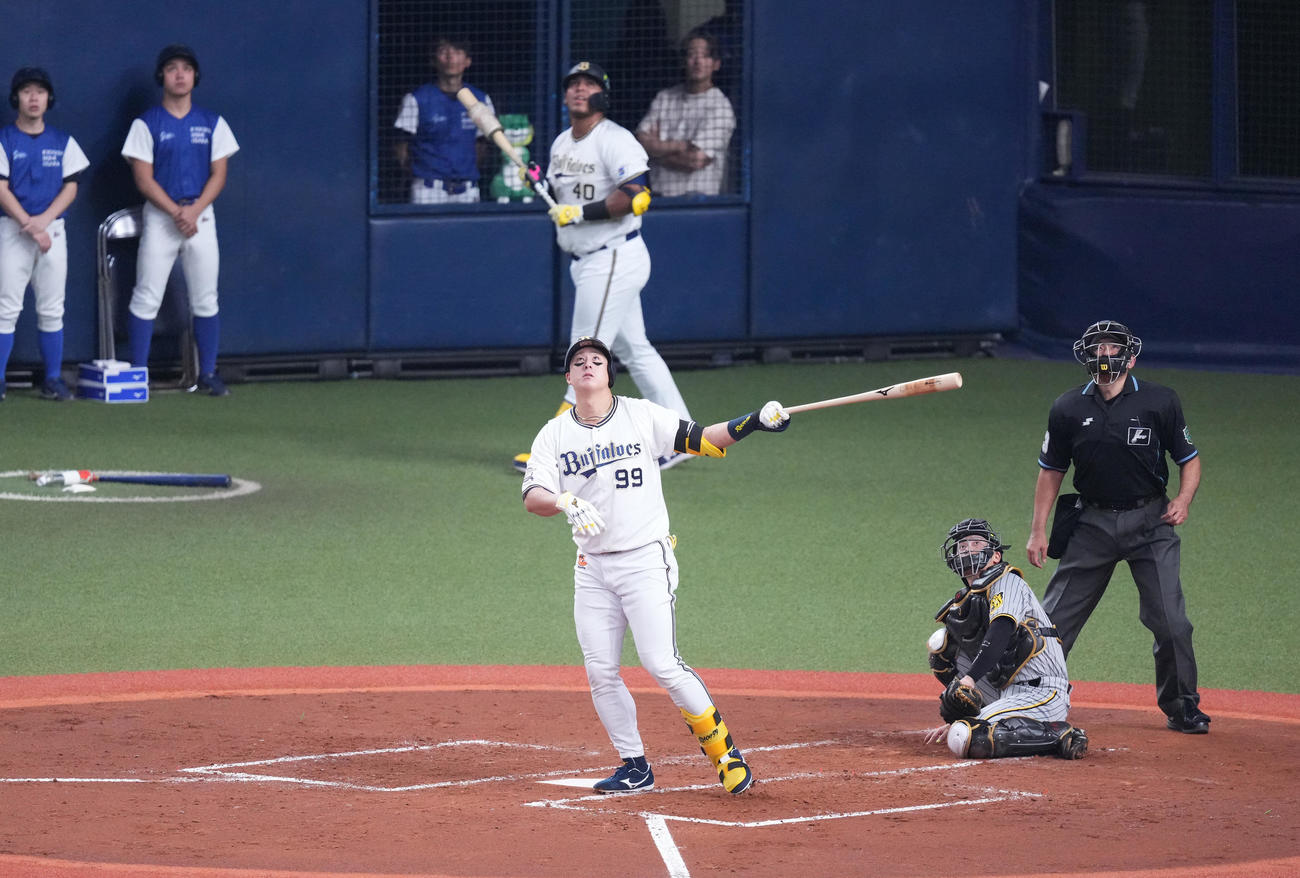 オリックス対阪神　2回裏オリックス無死一塁、打球を打ち上げる杉本（撮影・菅敏）