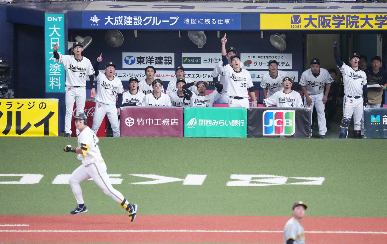 オリックス対阪神　2回裏オリックス無死一塁、杉本（手前）の打球が天井に入り、ベンチで指さすオリックスナイン（撮影・菅敏）