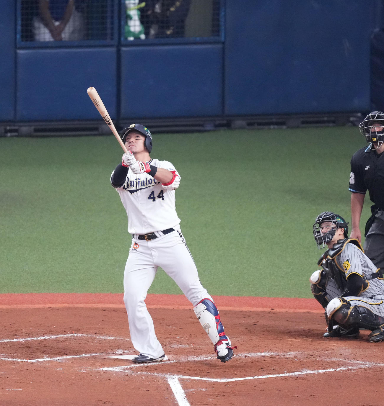 オリックス対阪神　8回裏オリックス無死、左越えにソロ本塁打を放つ頓宮（撮影・菅敏）