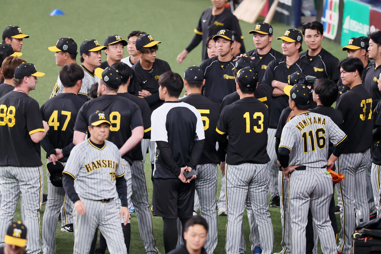 オリックス対阪神　2試合連続で練習前に円陣を組む阪神ナイン（撮影・加藤哉）