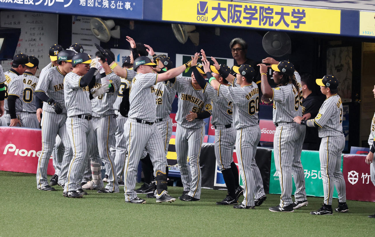 オリックス対阪神　4回表阪神1死一、二塁、ノイジーは左越え3点本塁打を放ちベンチ前でナインとタッチする（撮影・加藤哉）