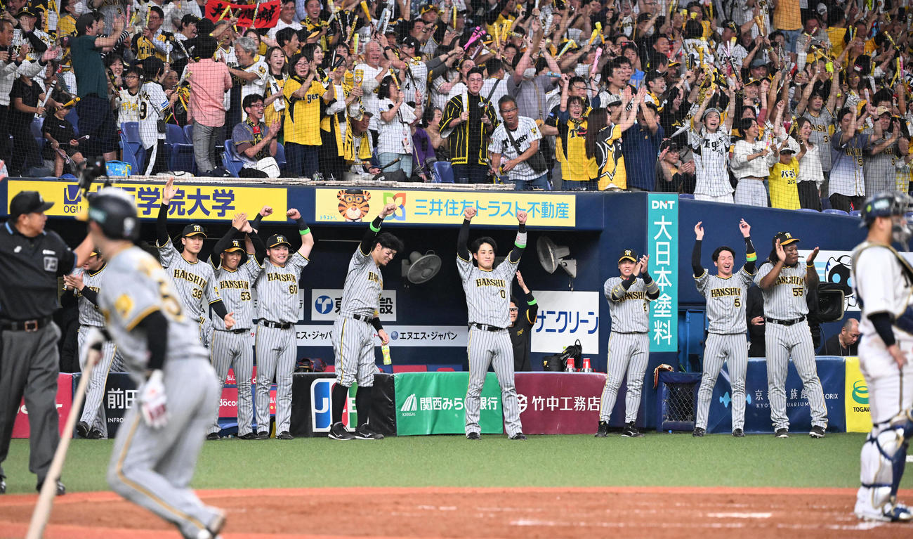 オリックス対阪神　5回表阪神2死二、三塁、大山の適時内野安打に喜ぶ阪神ナイン（撮影・和賀正仁）