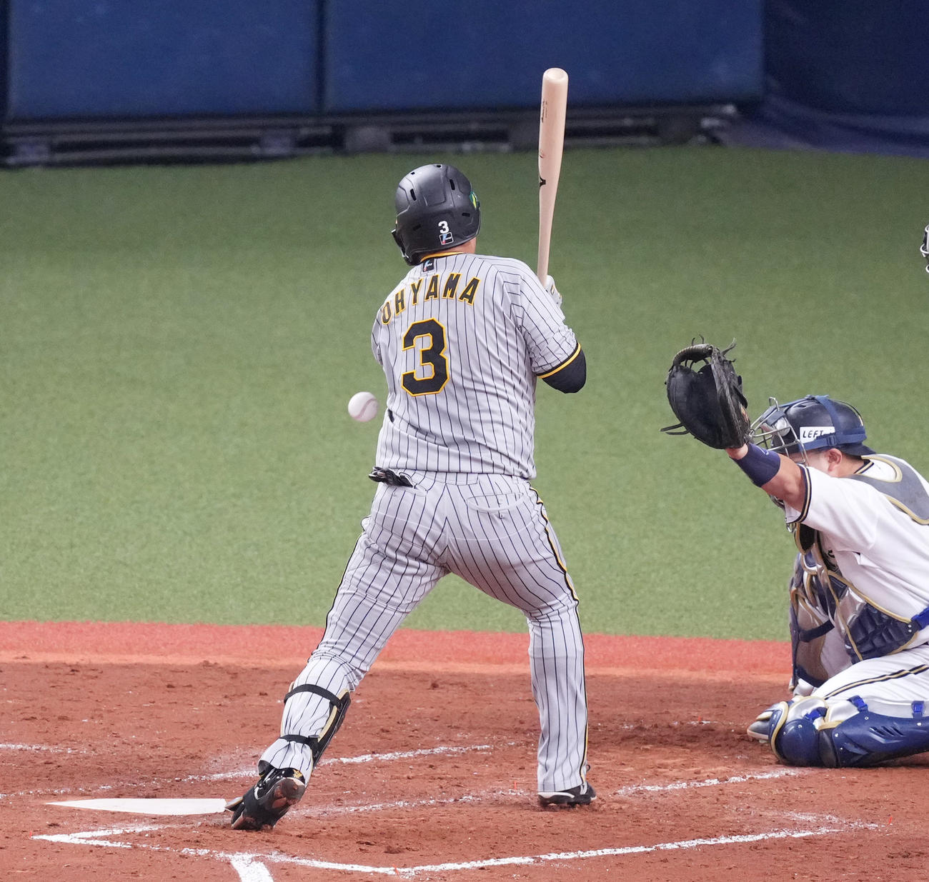 オリックス対阪神　4回表阪神1死一塁、死球を受ける大山（撮影・菅敏）