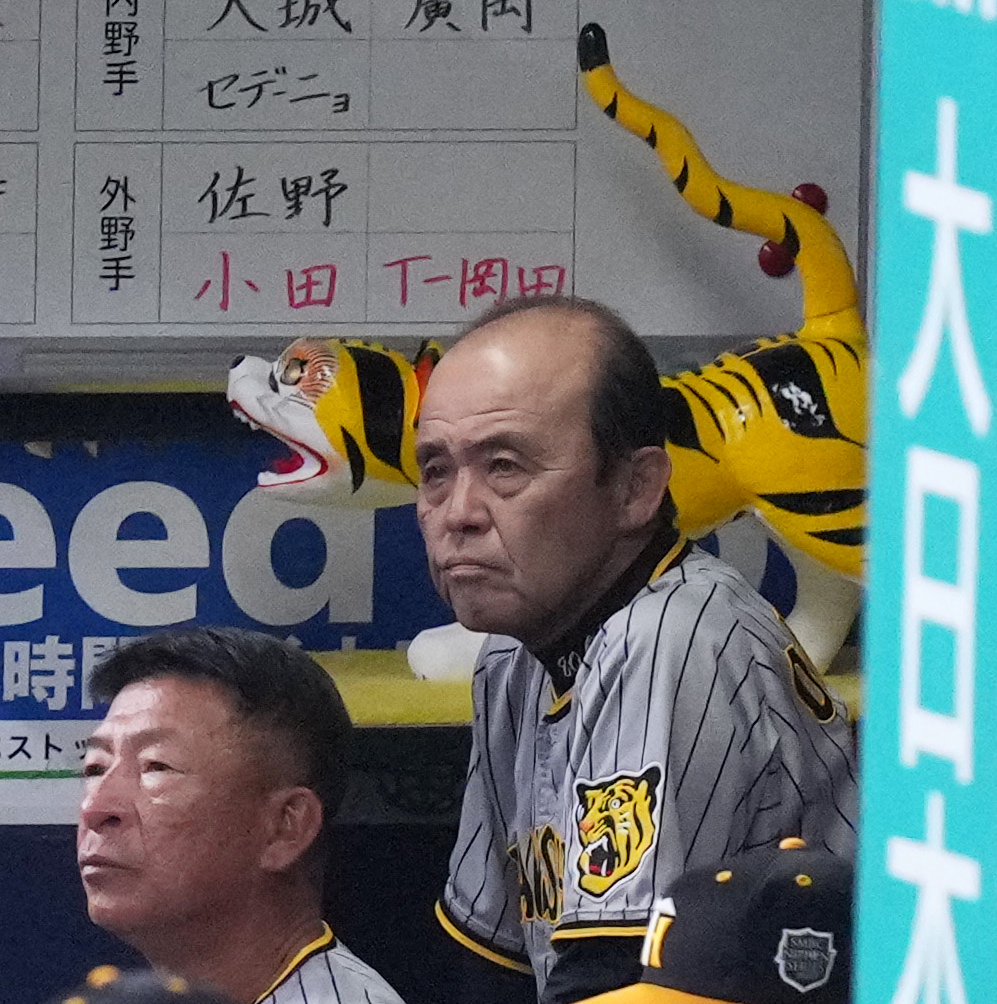 オリックス対阪神　試合前、フィールドを見つめる阪神岡田監督（撮影・菅敏）