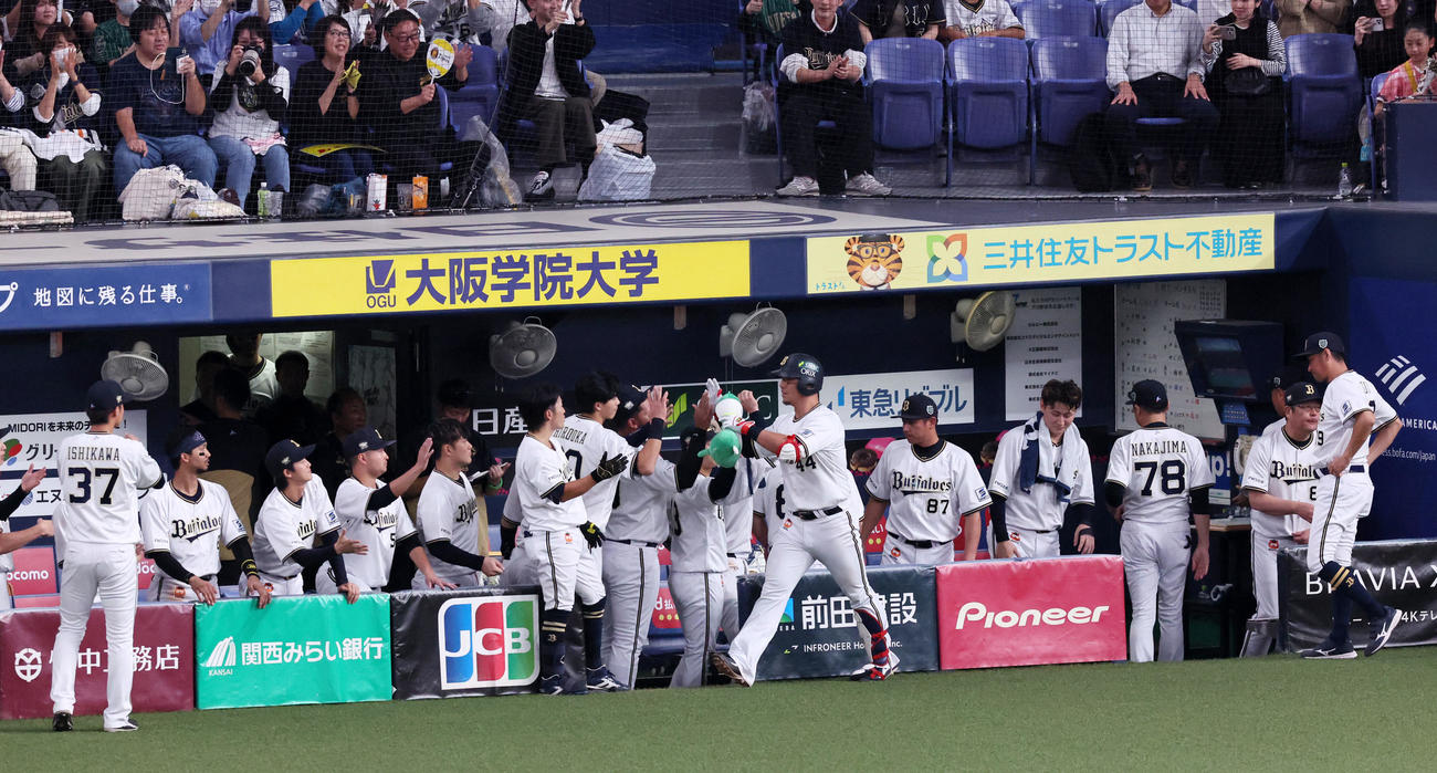 オリックス対阪神　9回裏オリックス2死、頓宮は左越えソロ本塁打を放ちベンチのナインとタッチする（撮影・加藤哉）