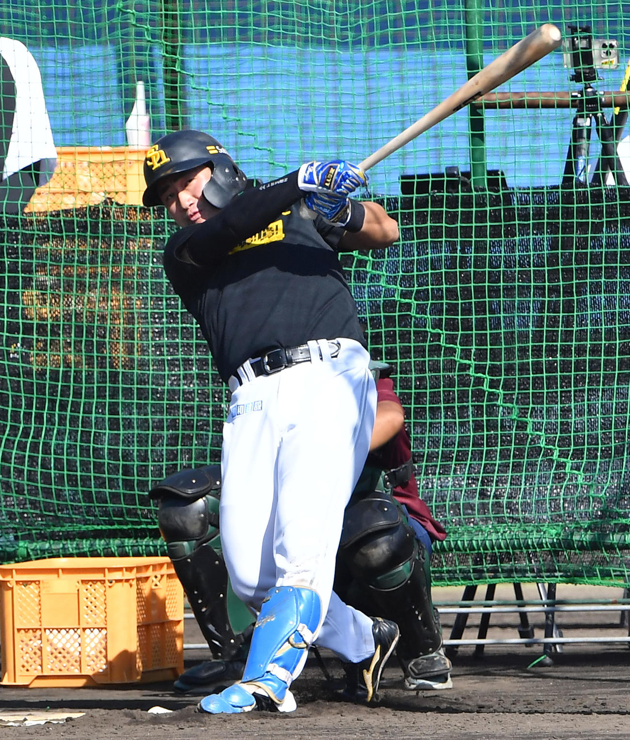 フリー打撃を行う野村大（撮影・岩下翔太）