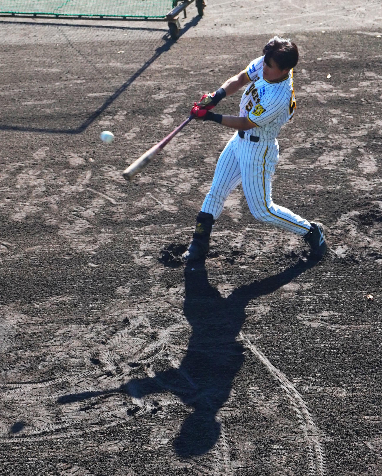 ロングティーを行う阪神前川（撮影・藤尾明華）