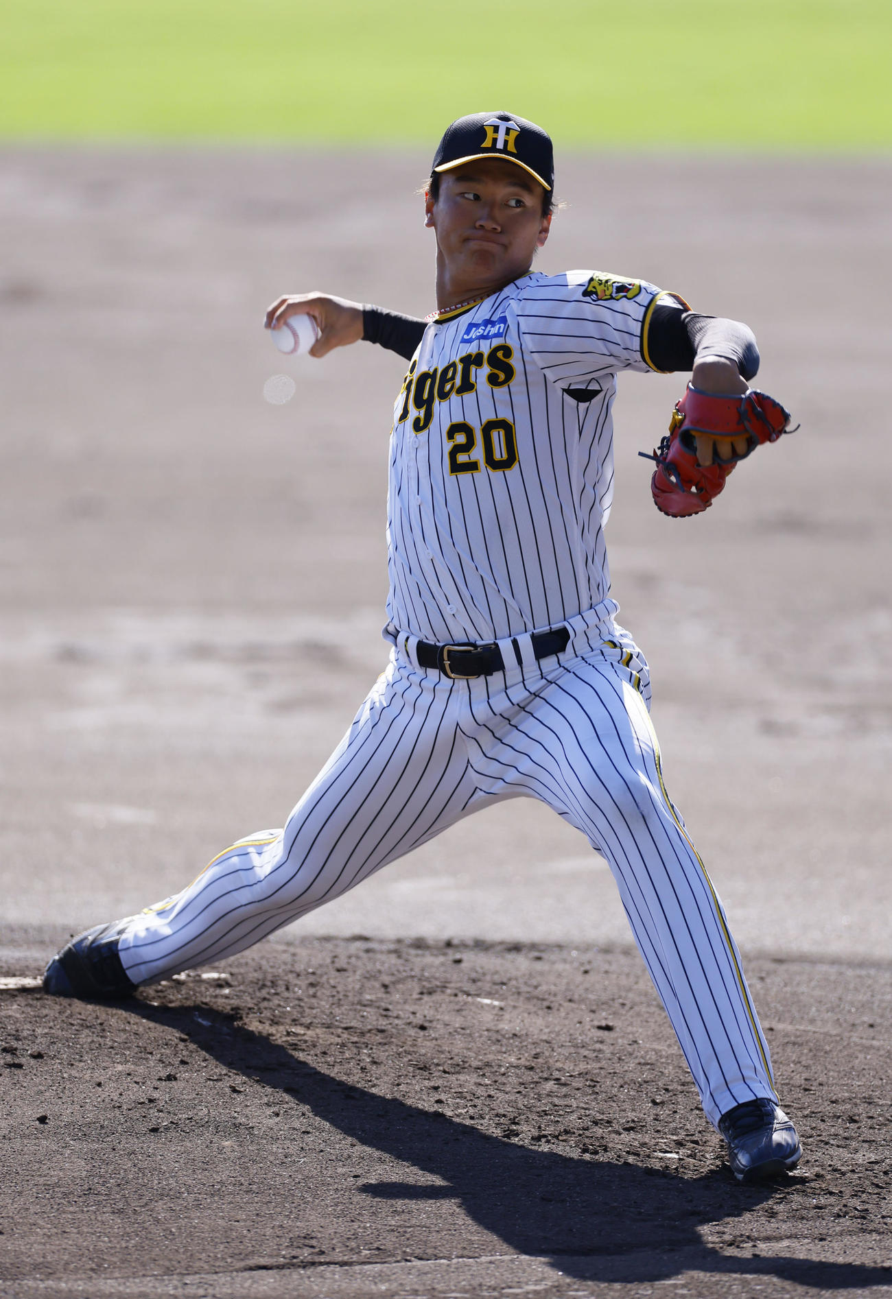 シート打撃に登板した阪神森木（撮影・藤尾明華）