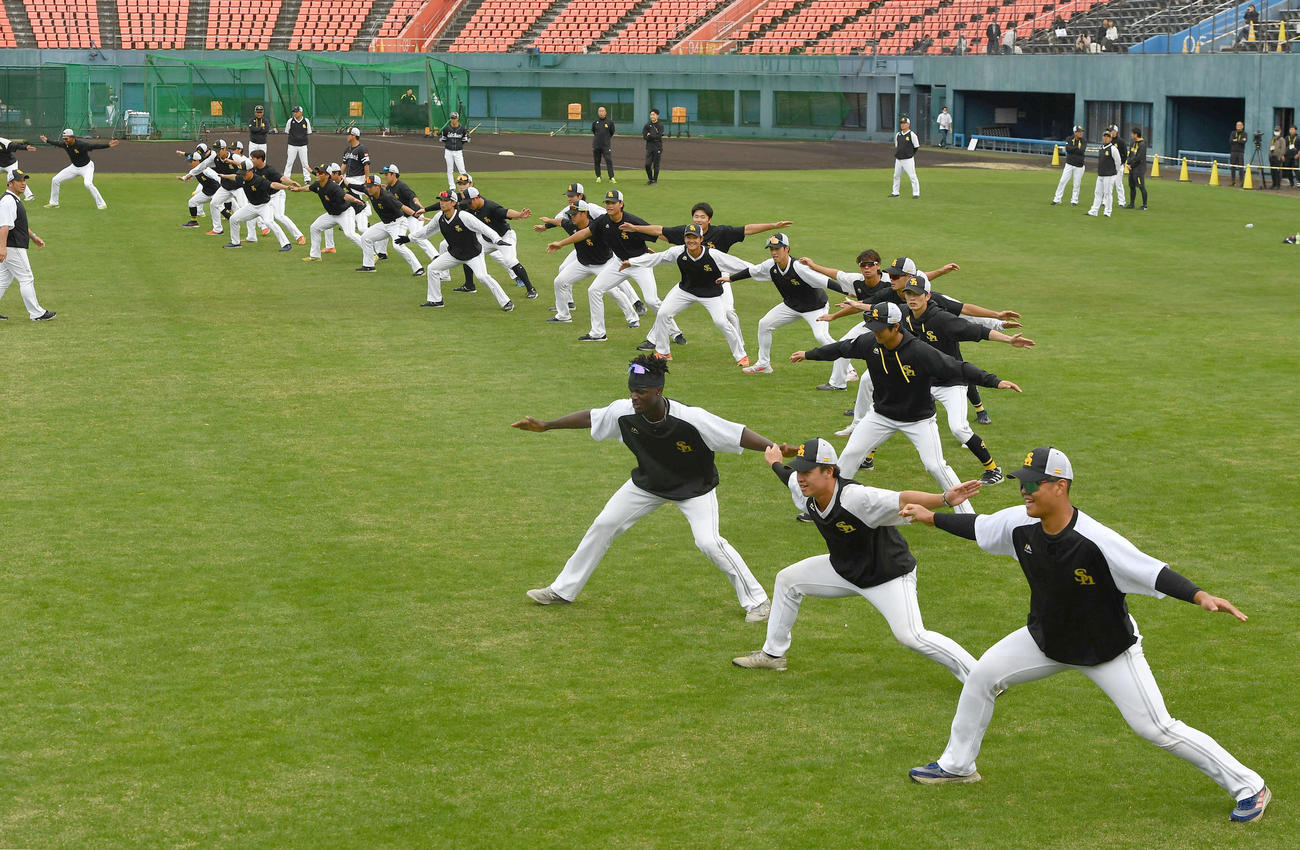 下半身強化トレーニングを行うソフトバンク野手陣（撮影・岩下翔太）