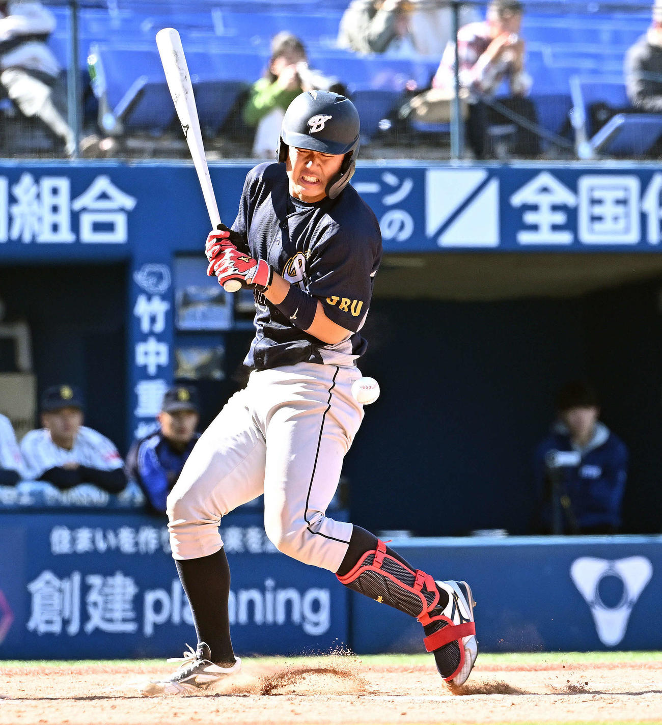 上武大対国際武道大　4回表上武大無死、死球を受ける進藤（撮影・滝沢徹郎）