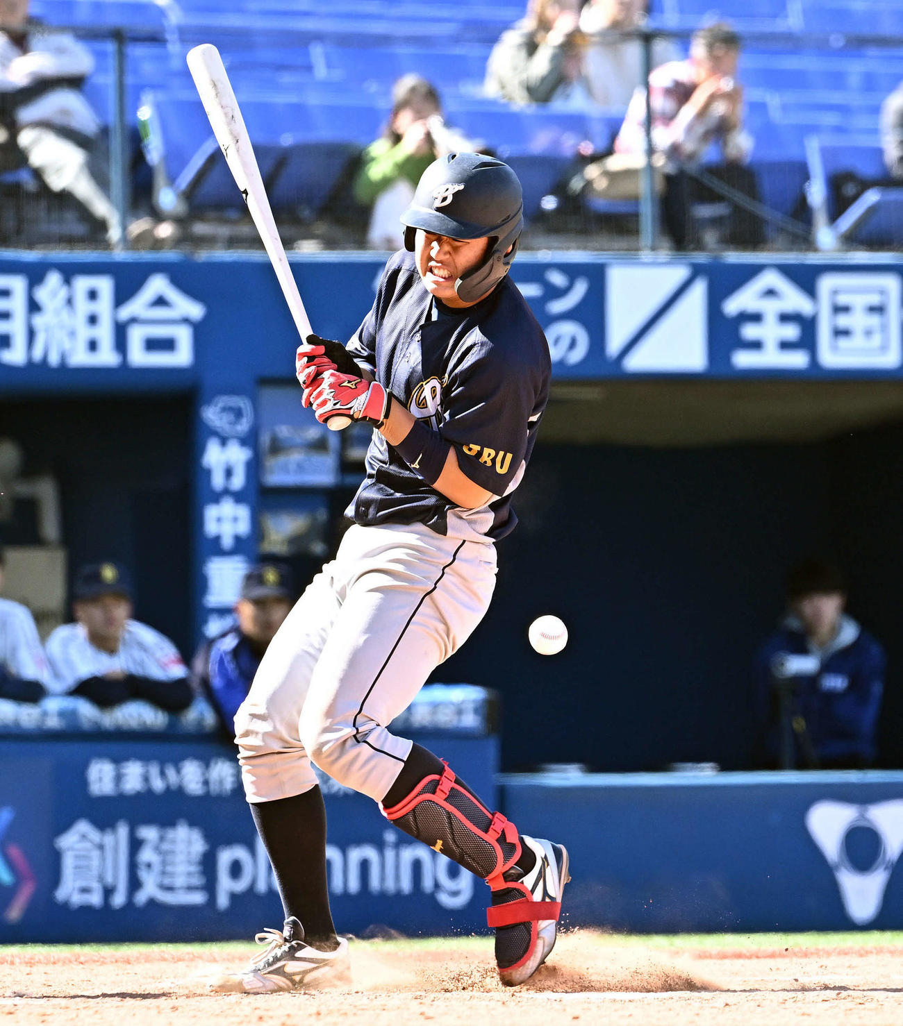 上武大対国際武道大　4回表上武大無死、死球を受ける進藤（撮影・滝沢徹郎）