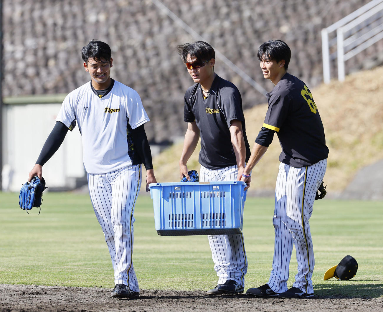 阪神秋季キャンプ　ノックを終え、ボールを運ぶ（左から）阪神岡留、西純、湯浅（撮影・藤尾明華）
