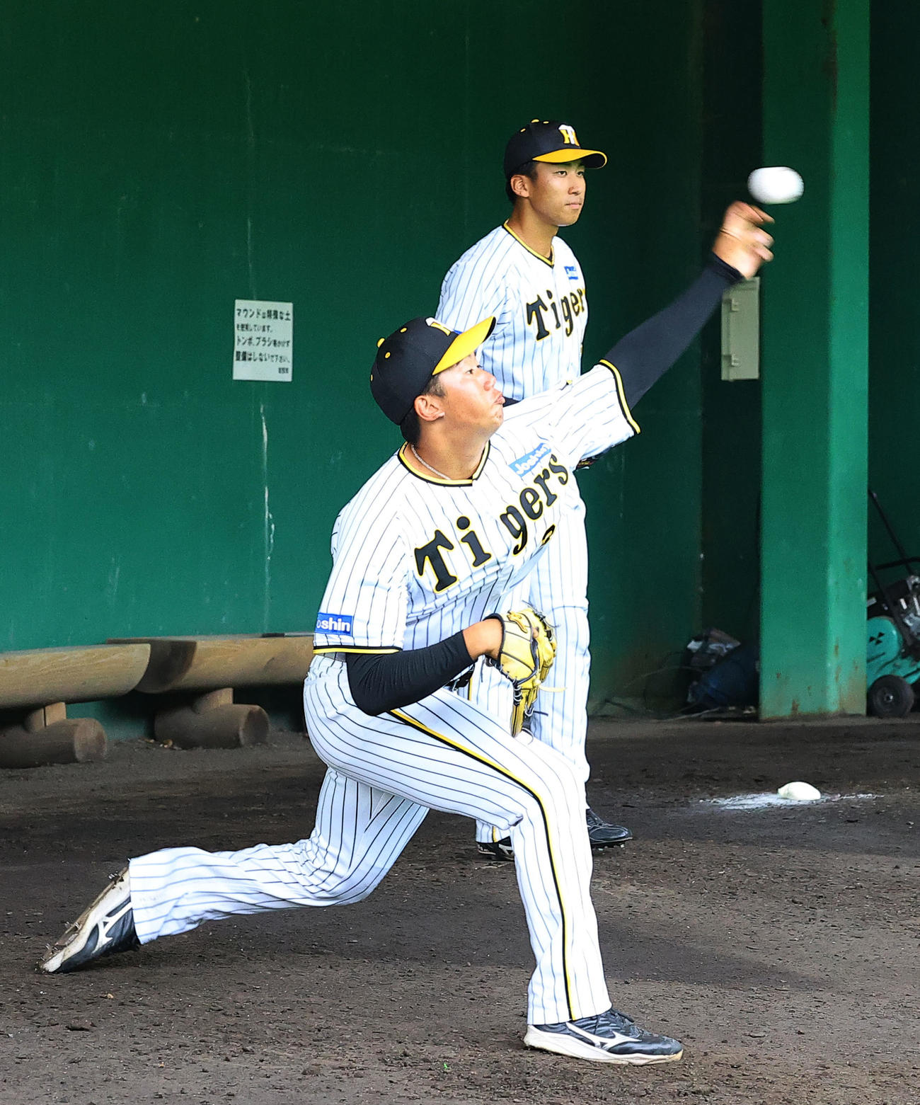 阪神秋季キャンプ　ブルペンで投球練習する阪神門別（左）。右は茨木（撮影・藤尾明華）