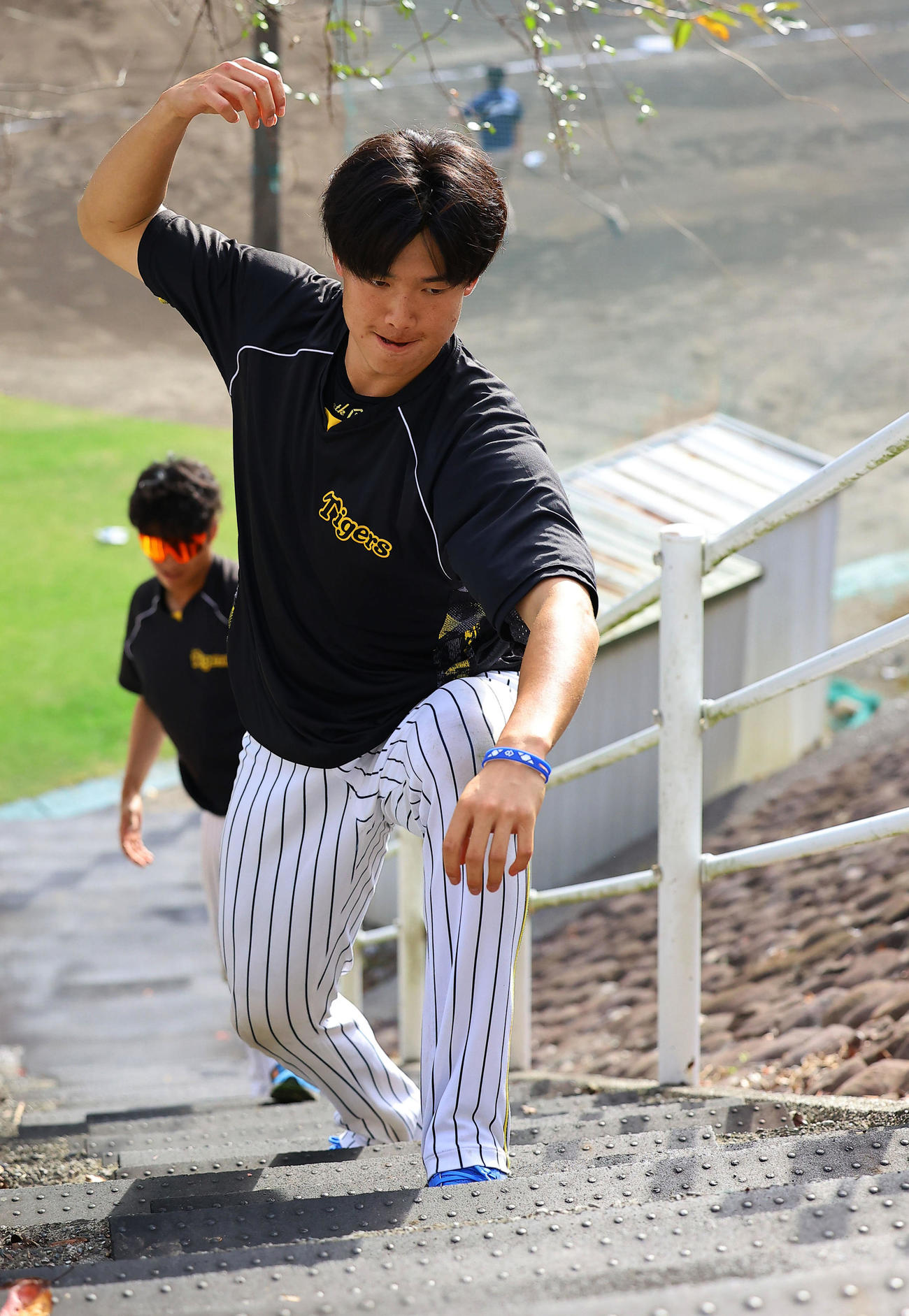 阪神秋季キャンプ　階段を使ってトレーニングをする阪神湯浅（撮影・藤尾明華）