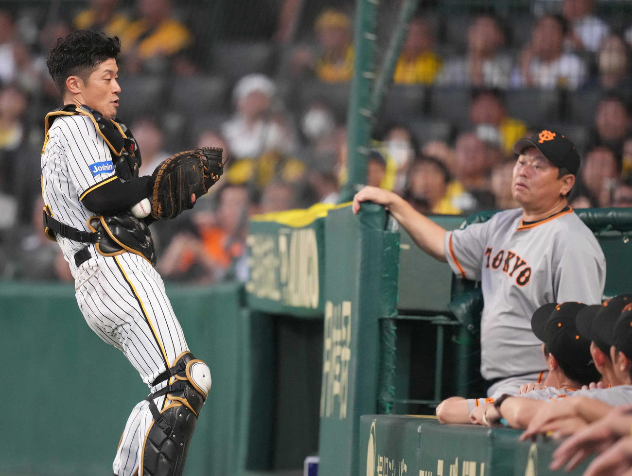 丸の捕邪飛をギリギリキャッチする坂本（2023年9月14日撮影）