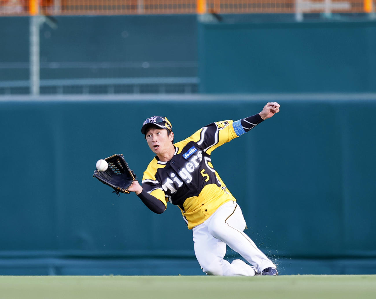 阪神近本光司（2023年7月撮影）