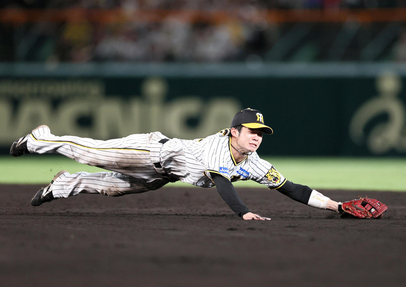 阪神中野拓夢（2023年7月撮影）