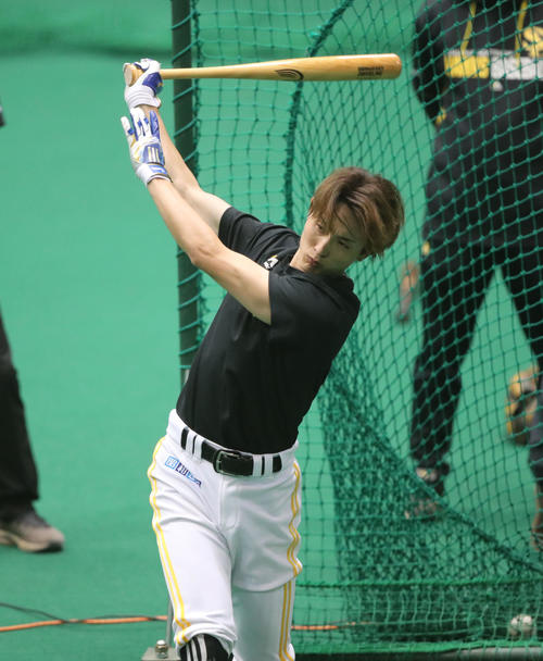 ホークス】周東佑京選手 バット 【公式通販】