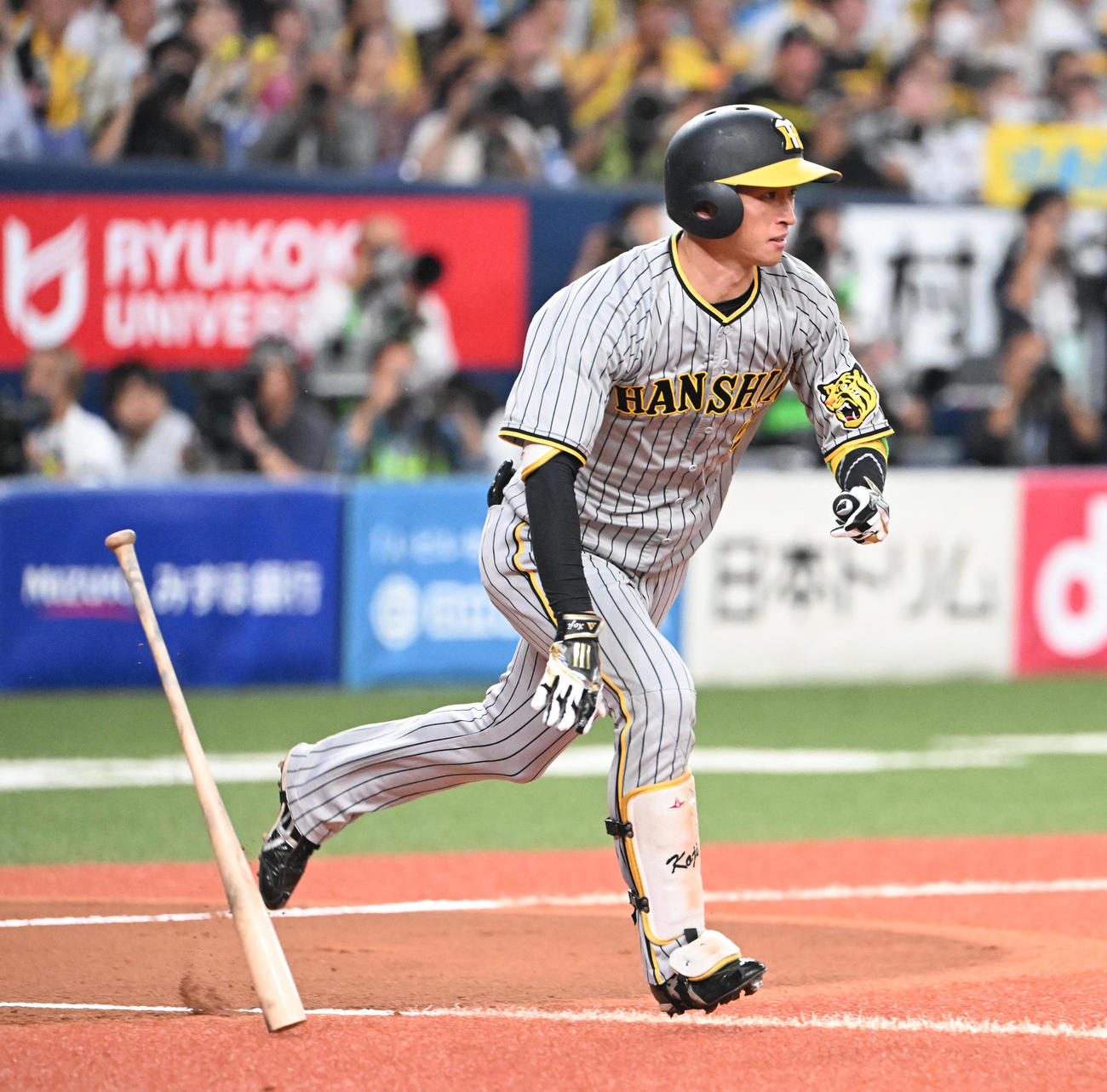 阪神近本光司（2023年11月05日撮影）