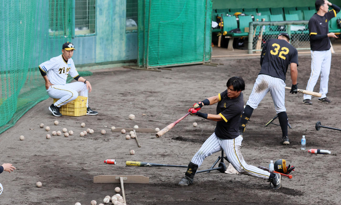 今岡コーチ（左）が見つめる前でティー打撃を行う前川。右は井上（撮影・加藤哉）