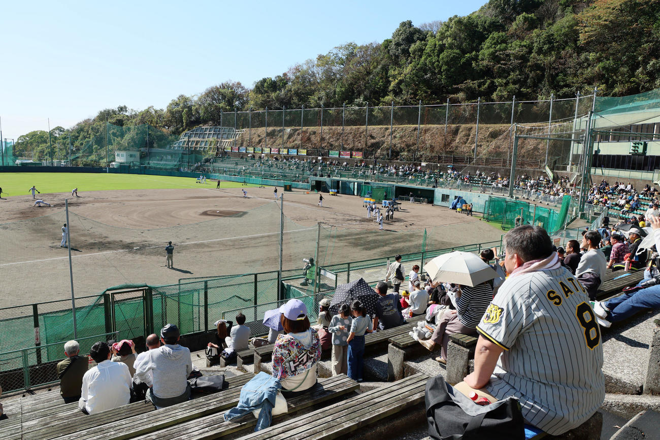 岡田監督ら1軍コーチが参加しての阪神安芸キャンプは大勢のファンで賑わった（撮影・加藤哉）