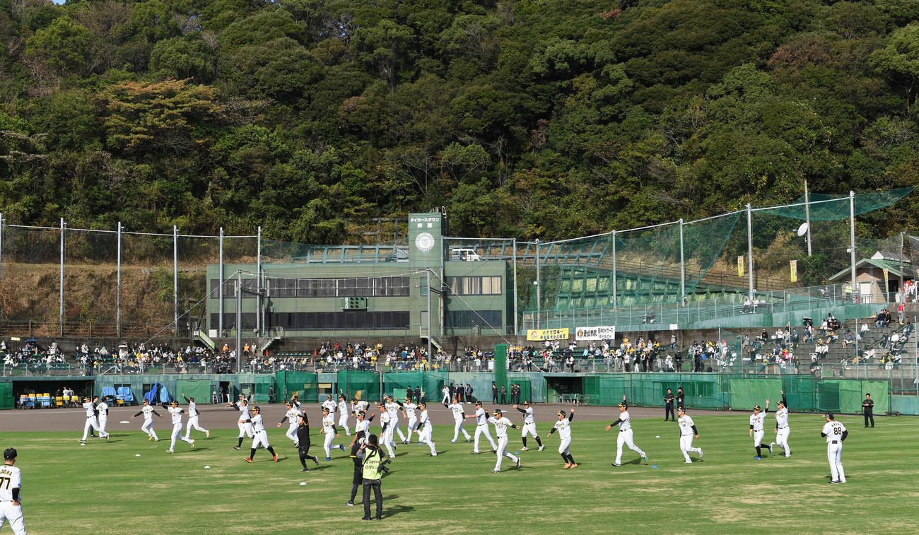 第3クール初日、練習をスタートした阪神ナイン（撮影・前岡正明）