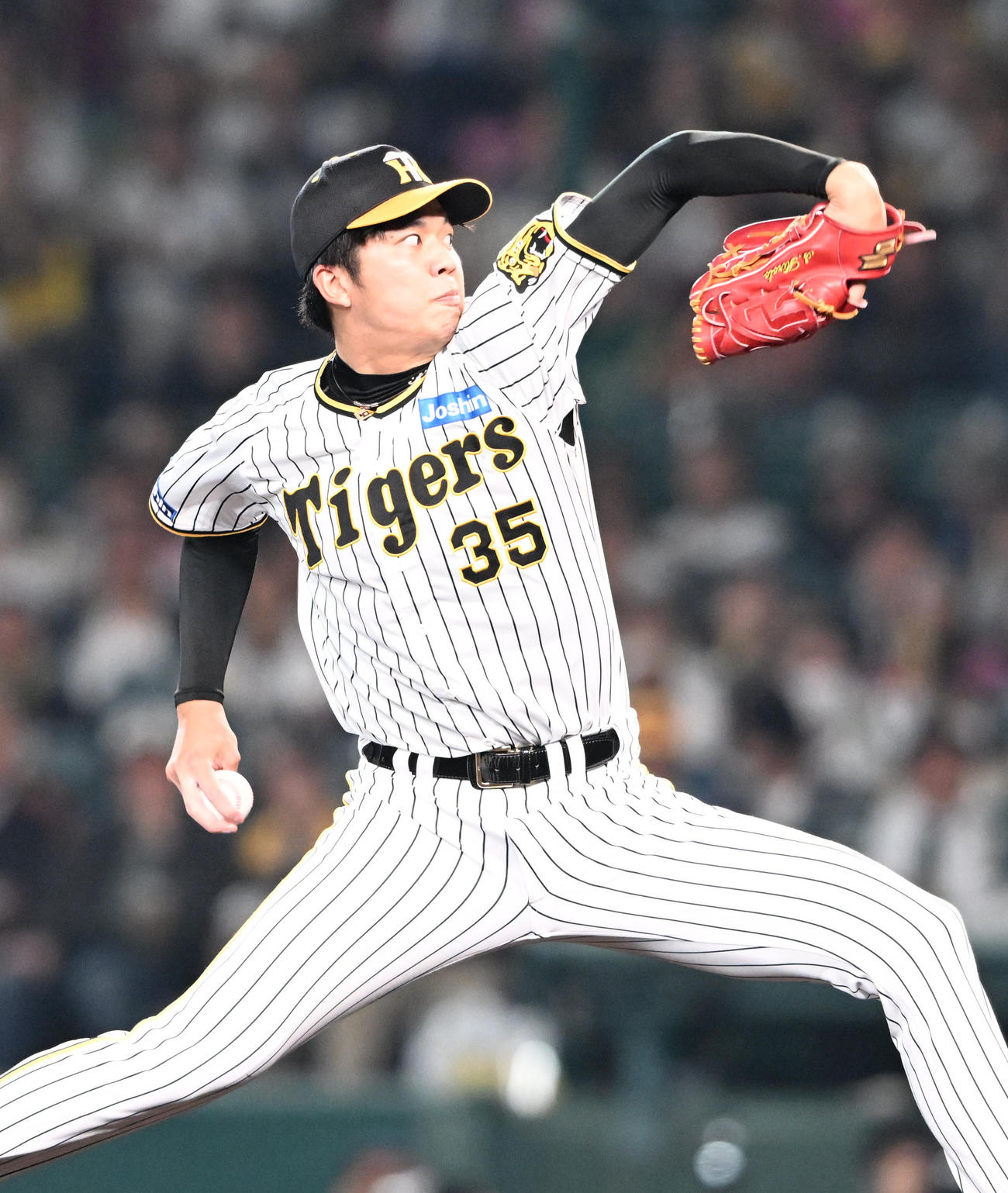 阪神才木浩人（2023年11月1日撮影）