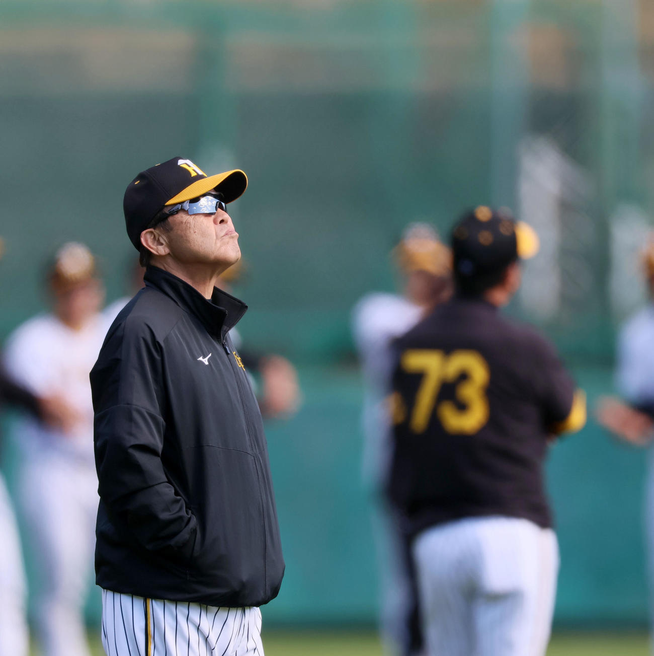 空を見上げる岡田監督（撮影・加藤哉）