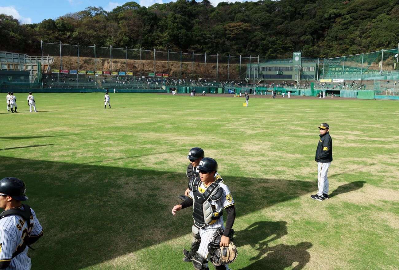 外野から練習を見る岡田監督（撮影・加藤哉）