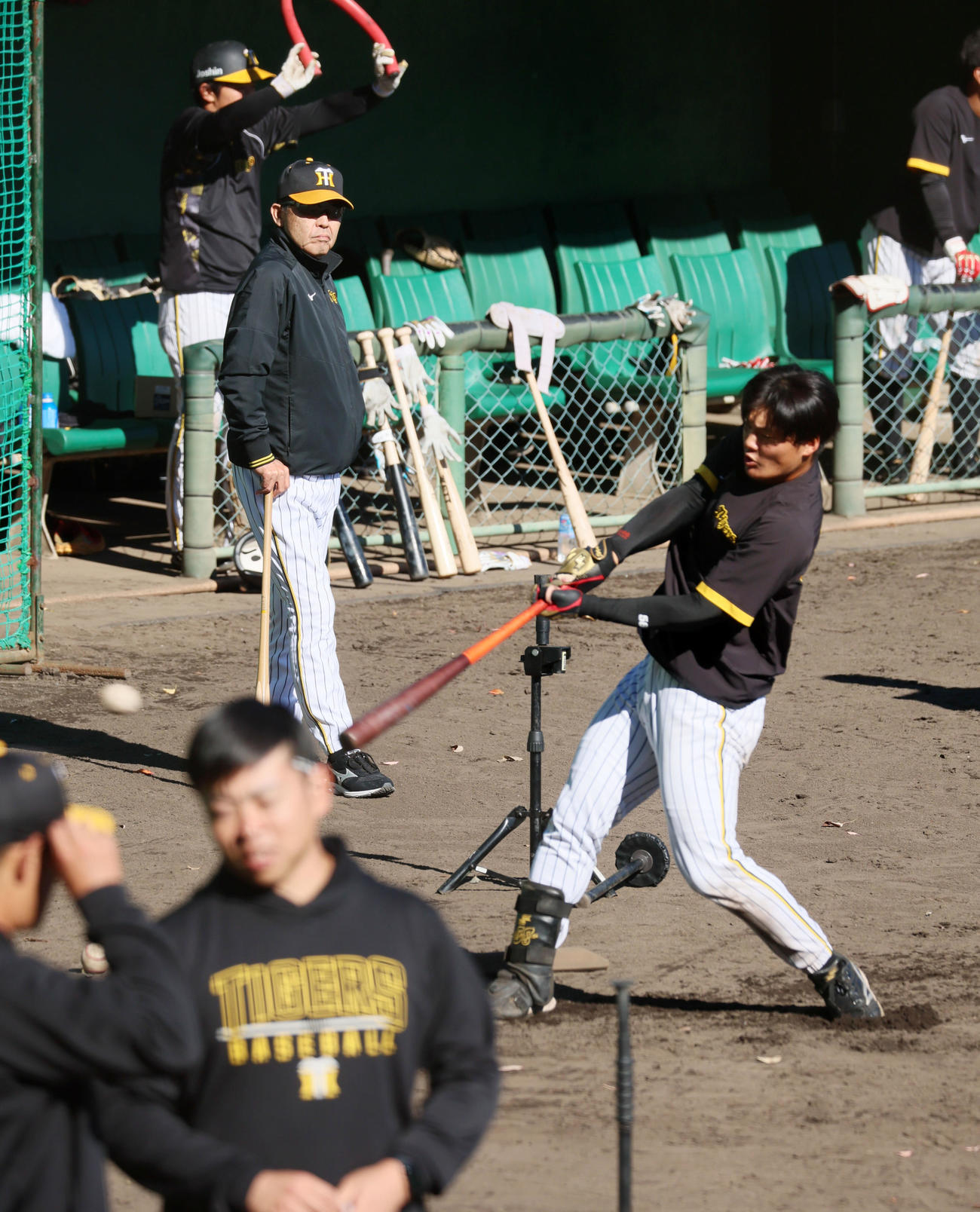前川のティー打撃を見る岡田監督（撮影・加藤哉）