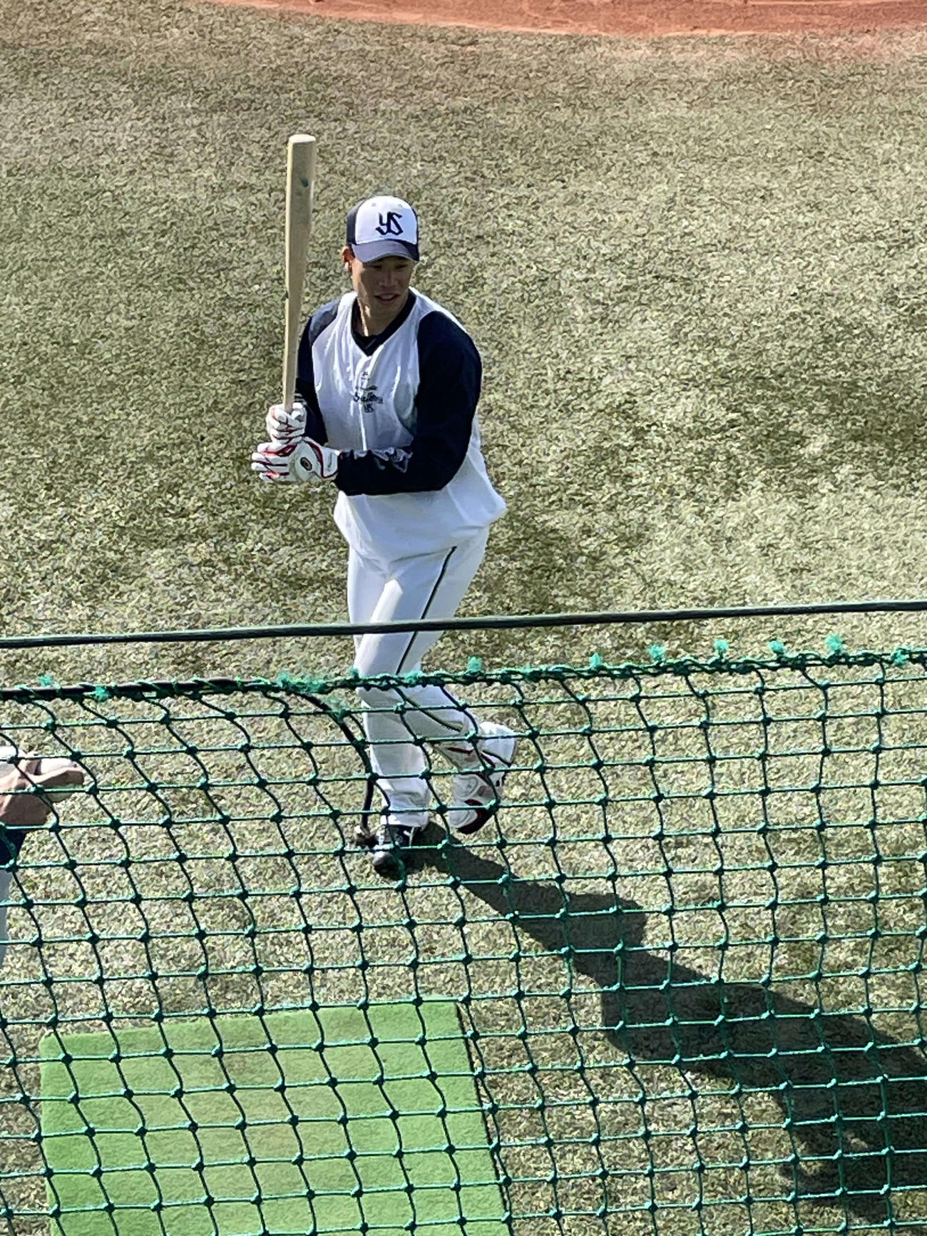 残留練習で、打撃練習に励むヤクルト塩見泰隆外野手