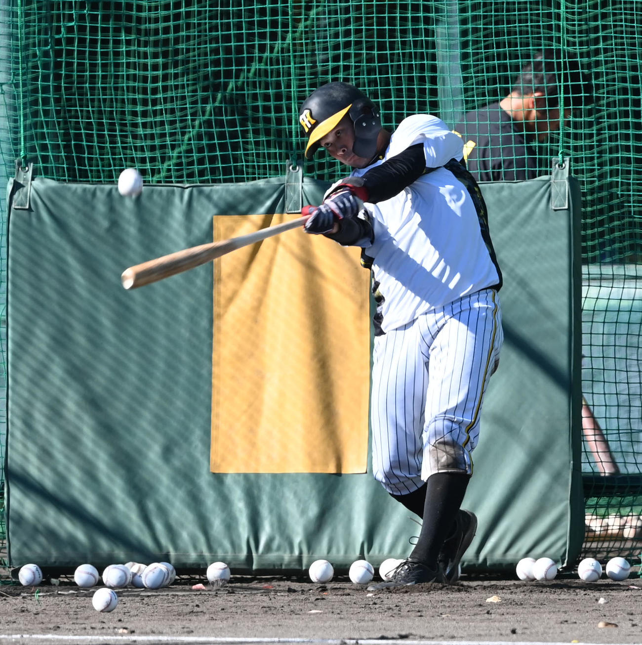 打撃練習を行う野口（撮影・前岡正明）