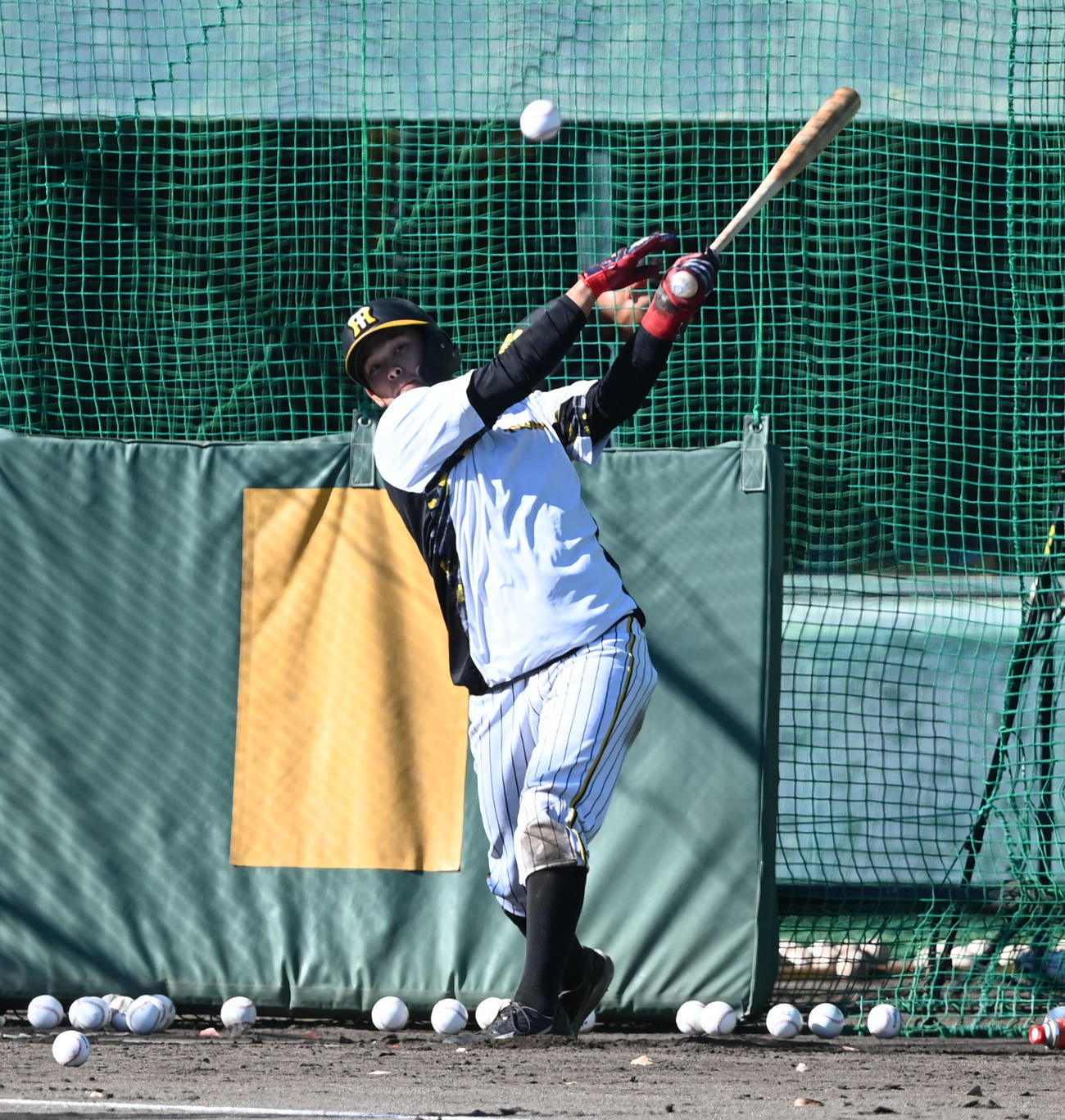 打撃練習を行う野口（撮影・前岡正明）