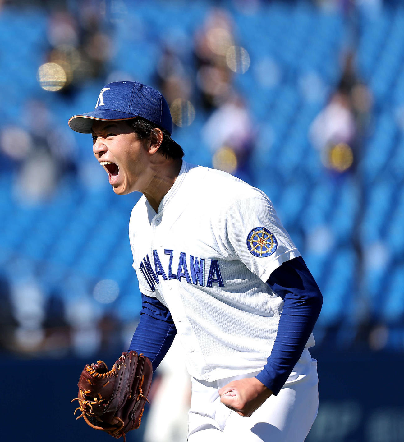 東洋大対駒大　5回表を抑え雄たけびを上げる駒大・高井（撮影・河田真司）