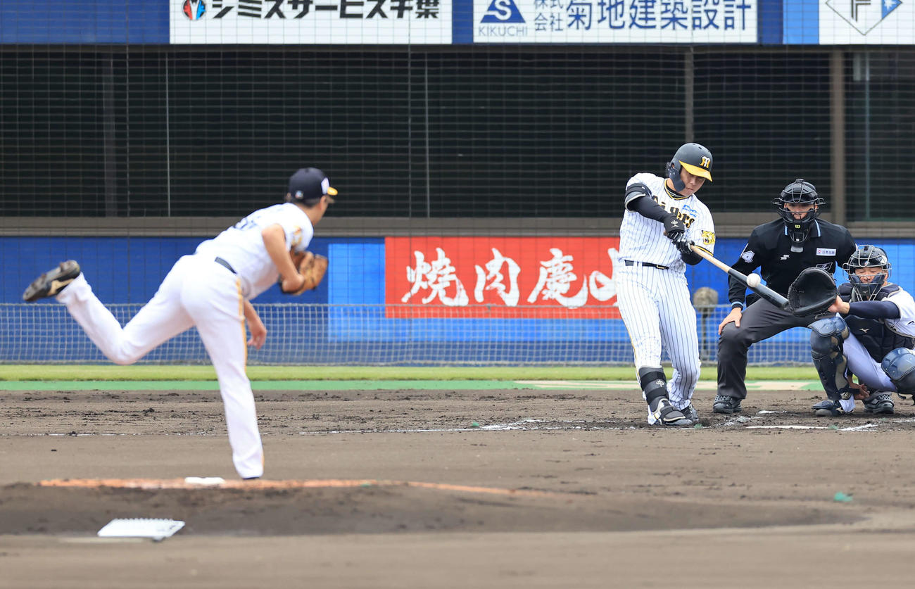 シート打撃で右二塁打を放つ高山。投手岡本（撮影・浅見桂子）