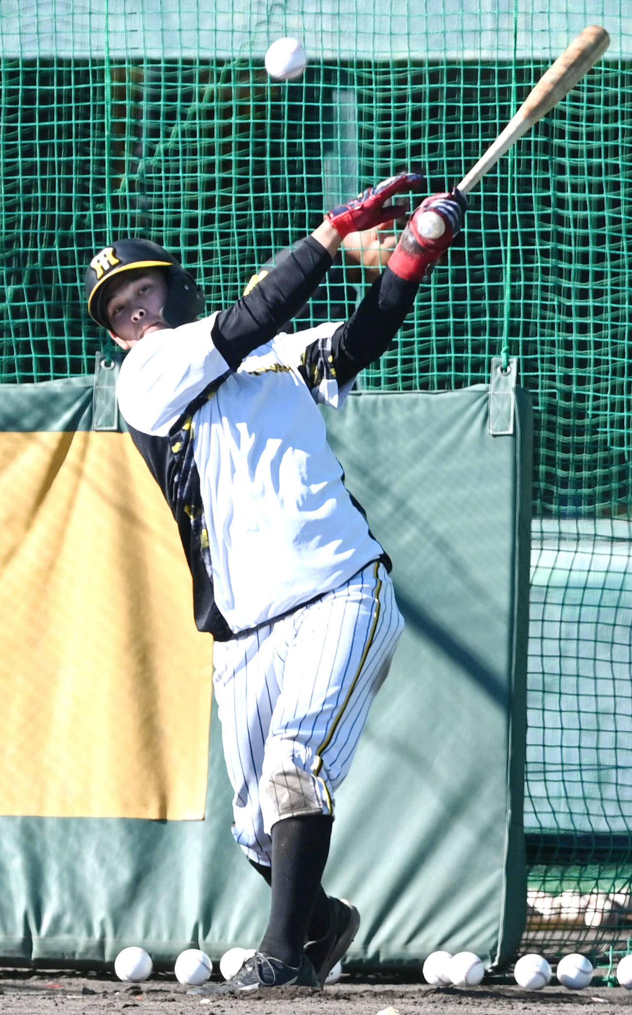 野口恭佑（2023年11月13日撮影）