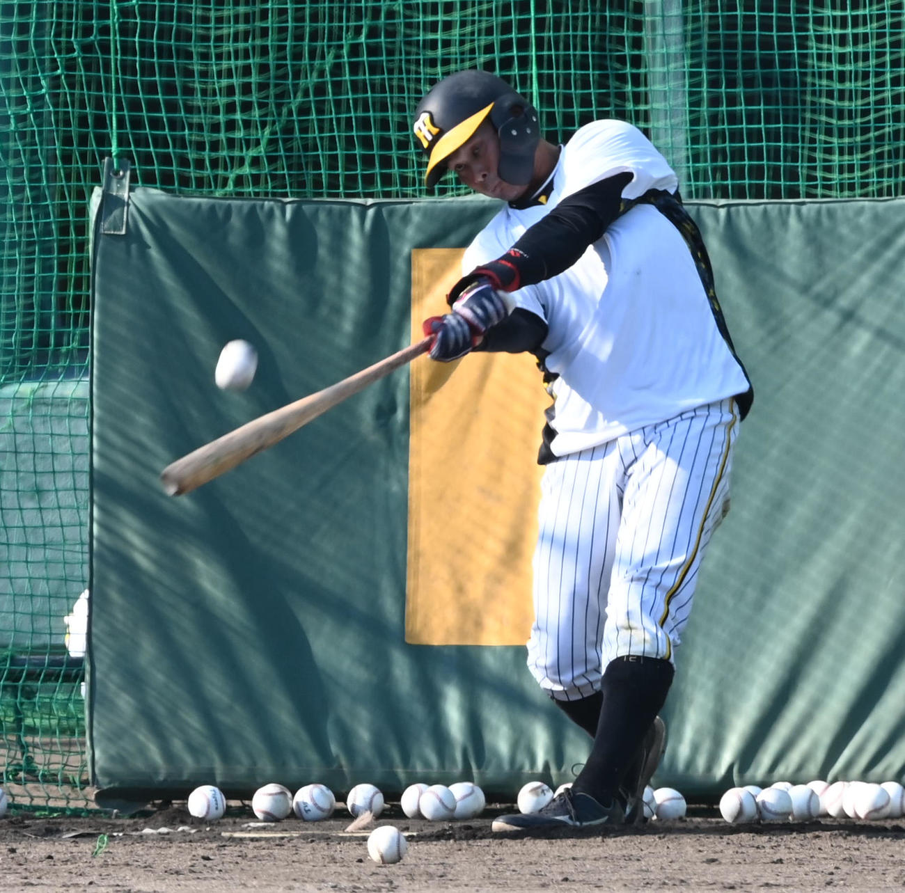 打撃練習を行う野口（撮影・前岡正明）