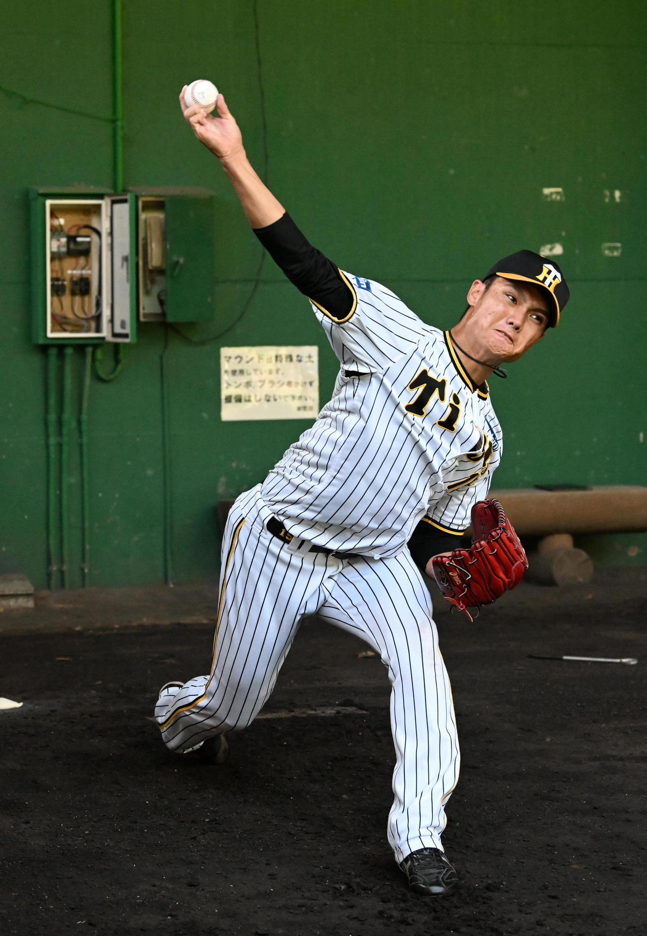 ブルペンで投球練習を行う西純（撮影・前岡正明）