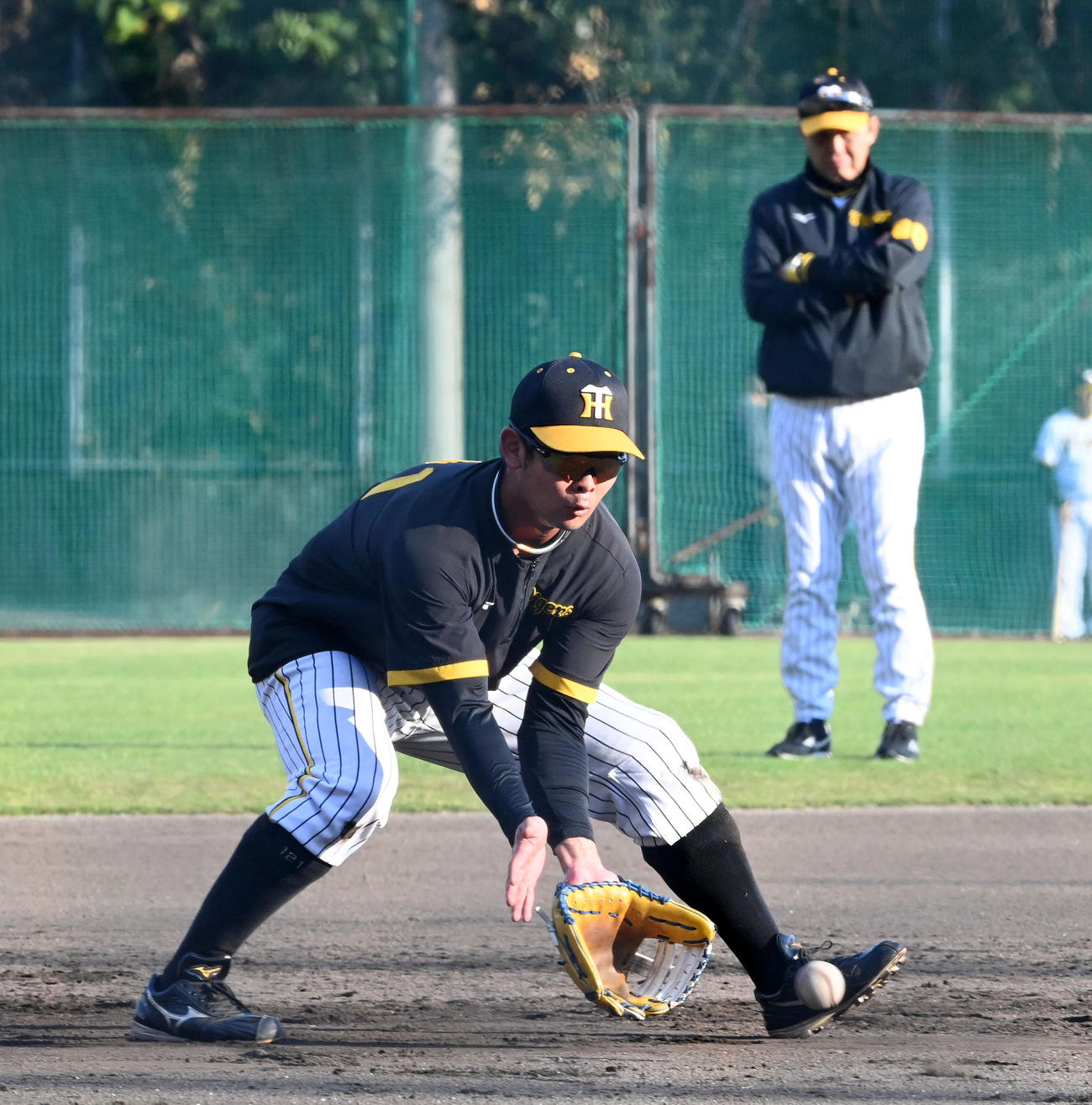 岡田監督が見守る中、三塁でノックを受ける野口（撮影・前岡正明）