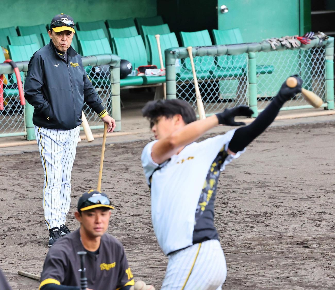 井上（右）の打撃練習をチェックする岡田監督（撮影・上田博志）
