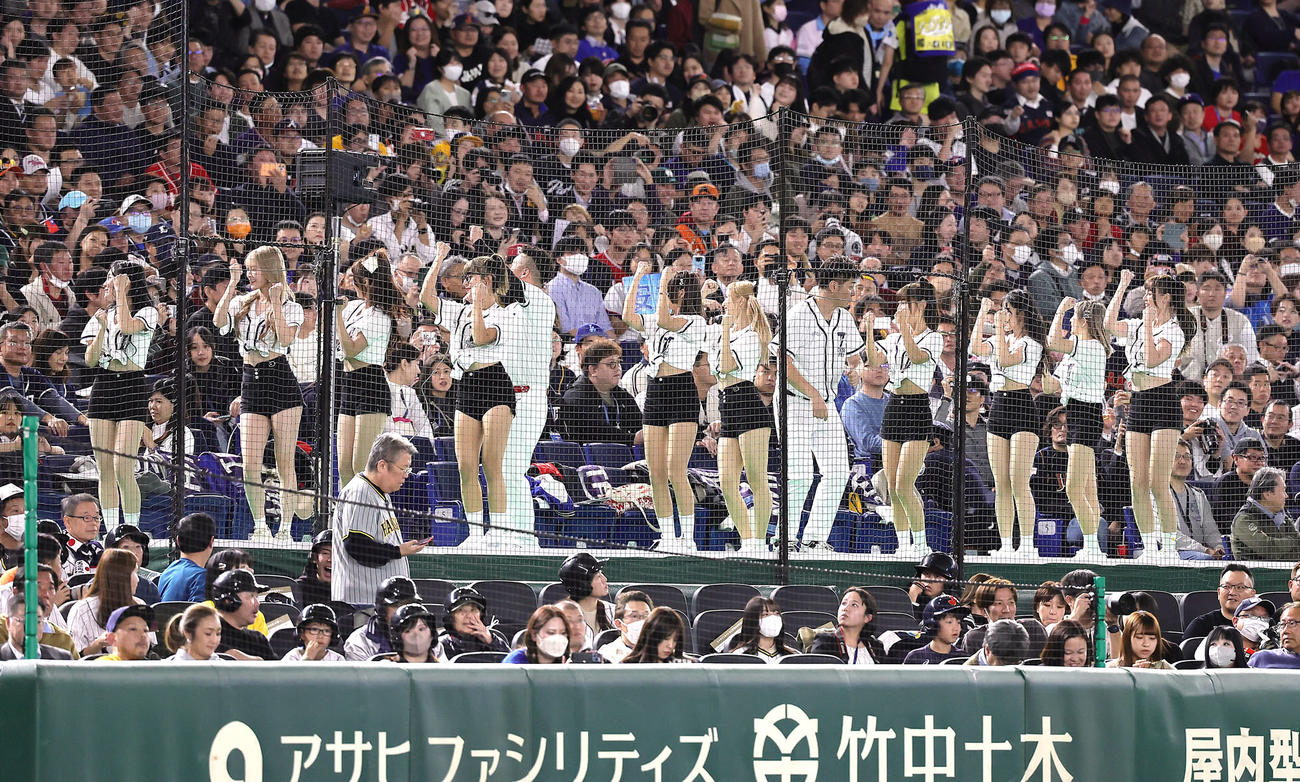日本対台湾　スタンドを盛り上げる台湾の応援団（撮影・足立雅史）